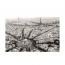 Пазл Черно-белый Париж, 1000 деталей