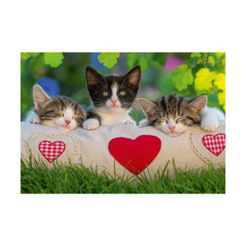Пазл Сонные котята, 2 x 24 детали